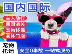 瑷珲空运公司国际宠物托运 【国